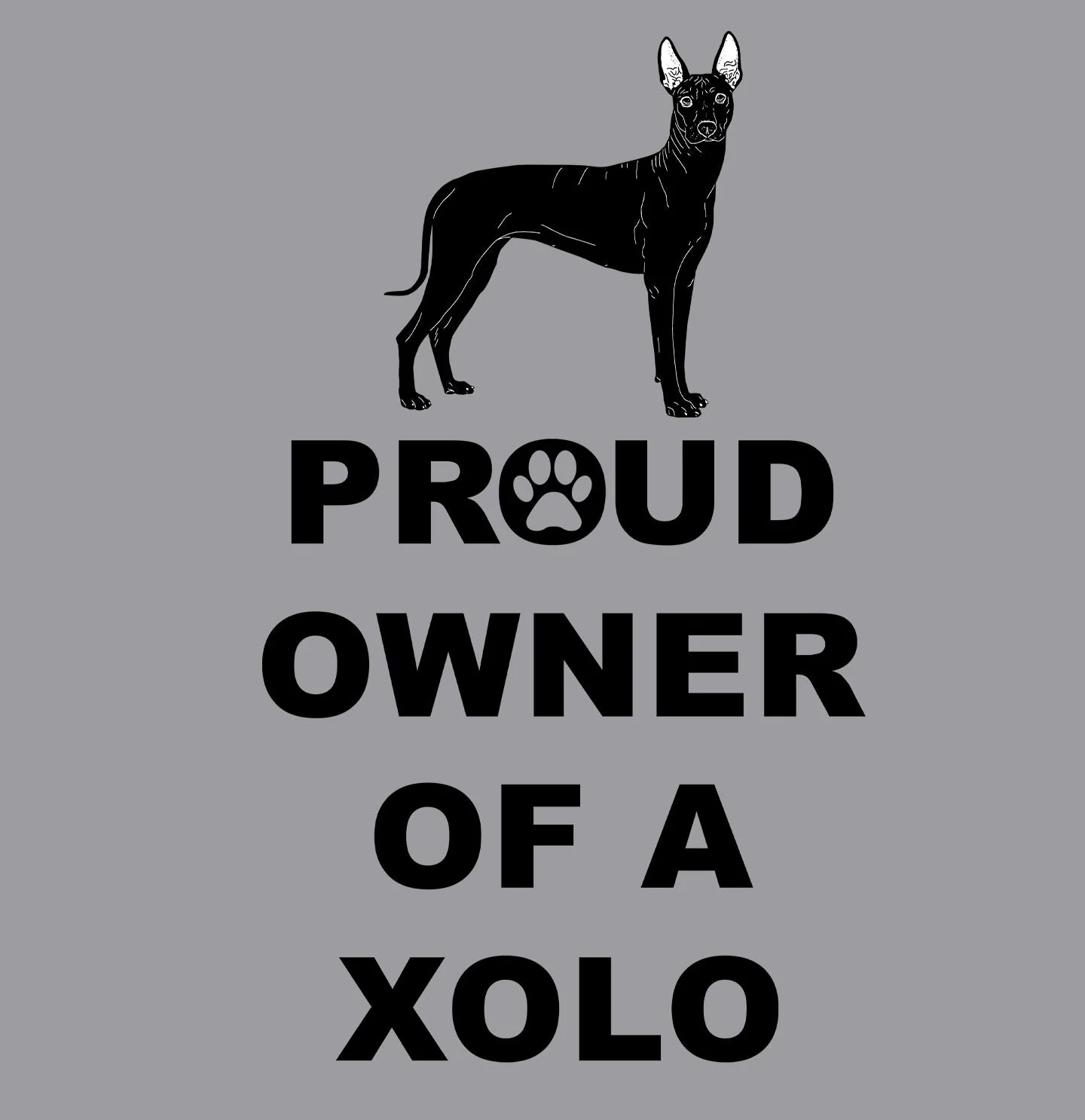 Xoloitzcuintli Proud Owner - Adult Unisex Hoodie Sweatshirt - Image 2