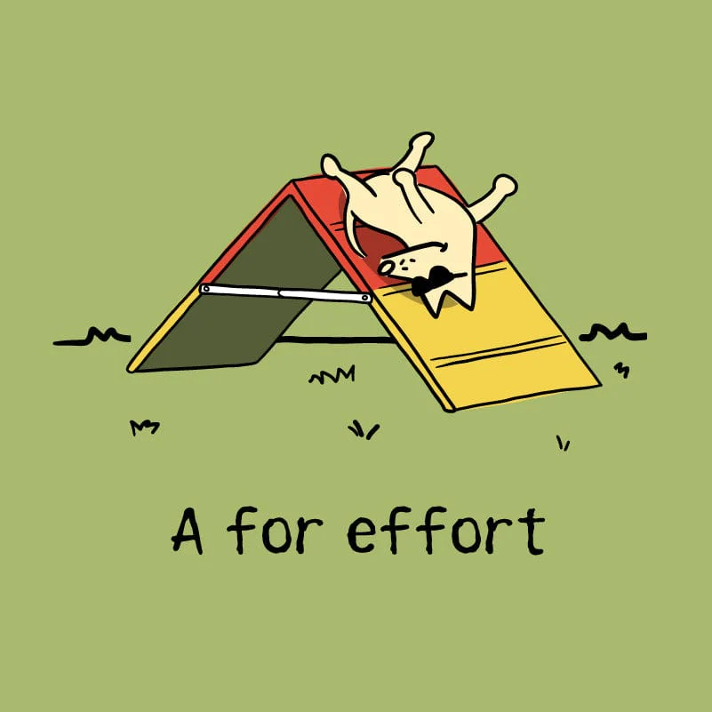 A For Effort - Ladies Plus V-Neck Tee - Image 2