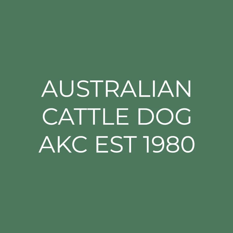 Australian Cattle Dog Embroidered AKC Quarter Zip - Image 15