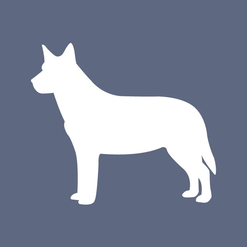 Australian Cattle Dog - Beanie - Image 6
