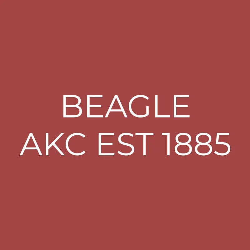 Beagle Embroidered AKC Quarter Zip - Image 12
