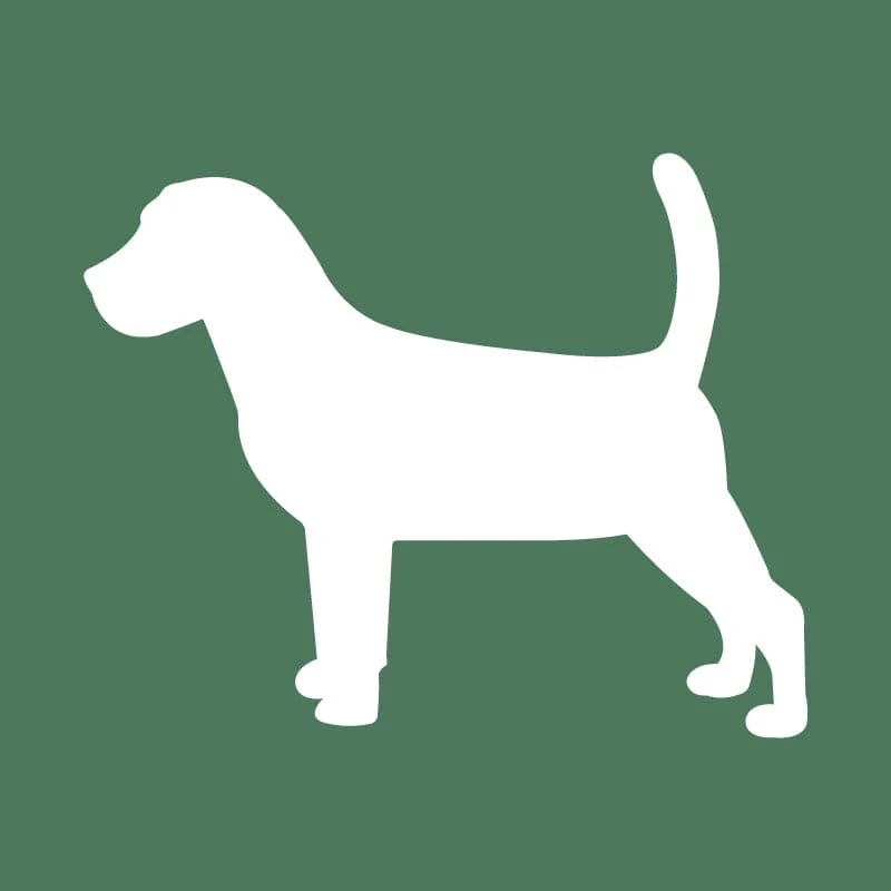 Beagle Embroidered AKC Quarter Zip - Image 14