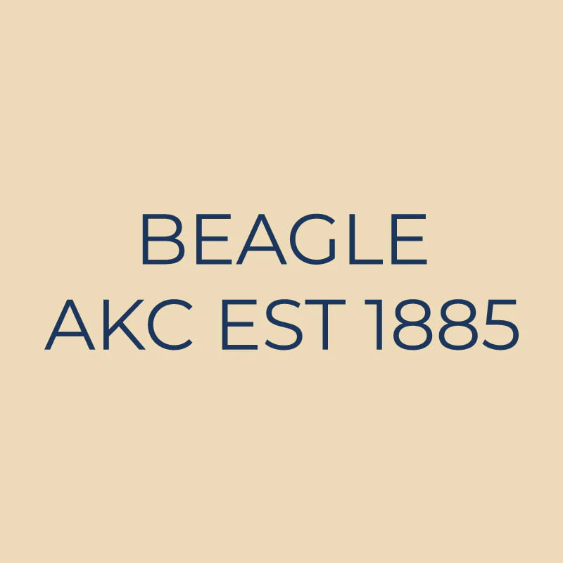 Beagle Embroidered AKC Quarter Zip - Image 18