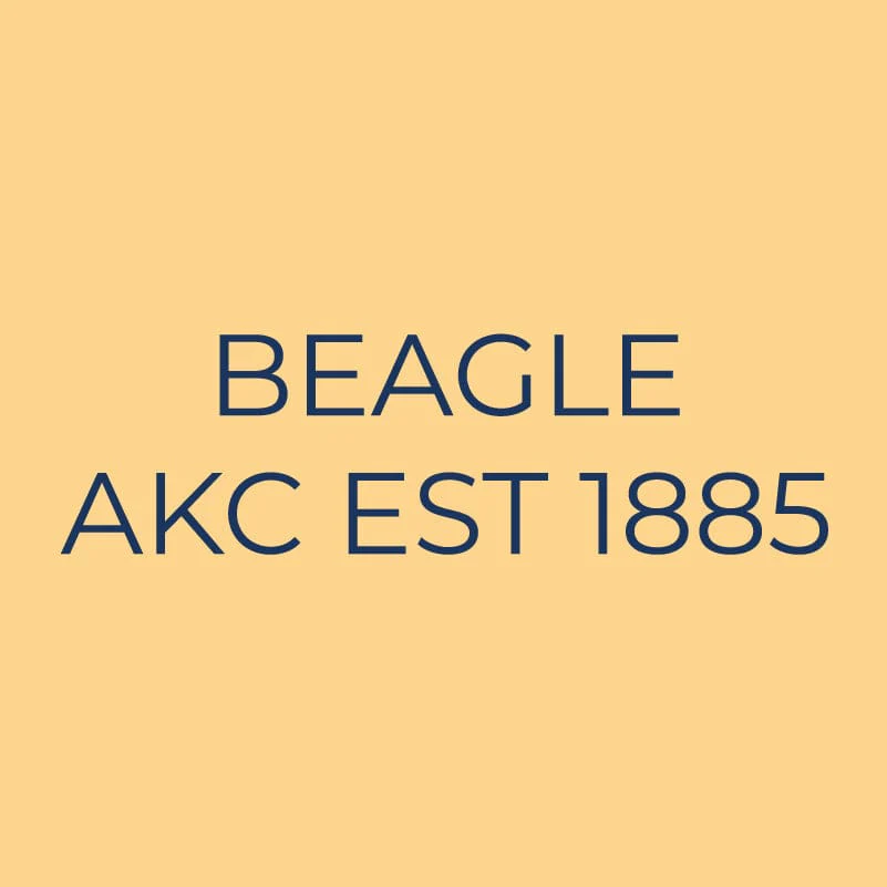 Beagle Embroidered AKC Quarter Zip - Image 6