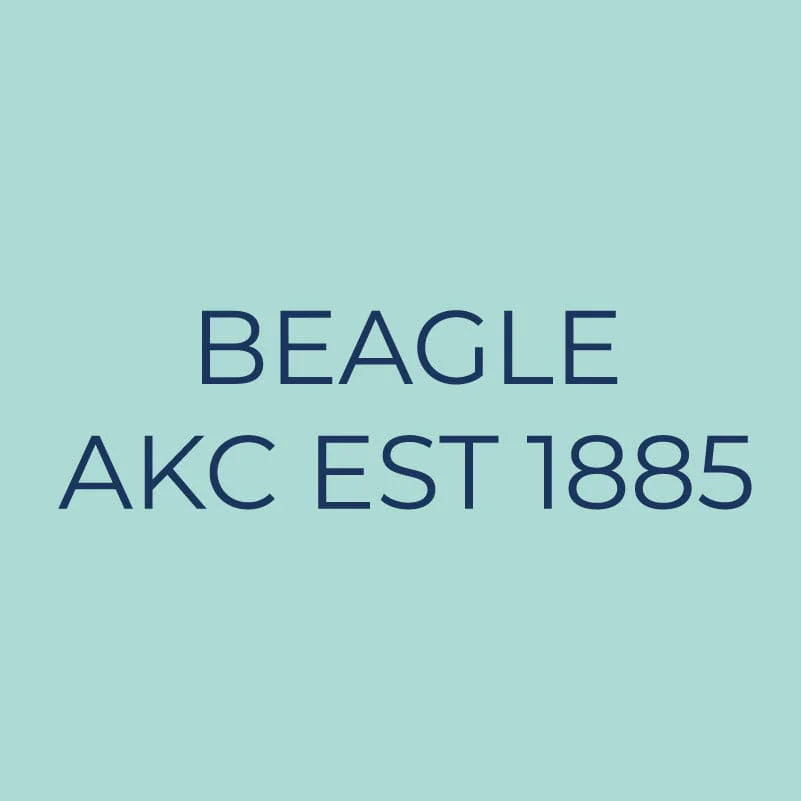 Beagle Embroidered AKC Quarter Zip - Image 9