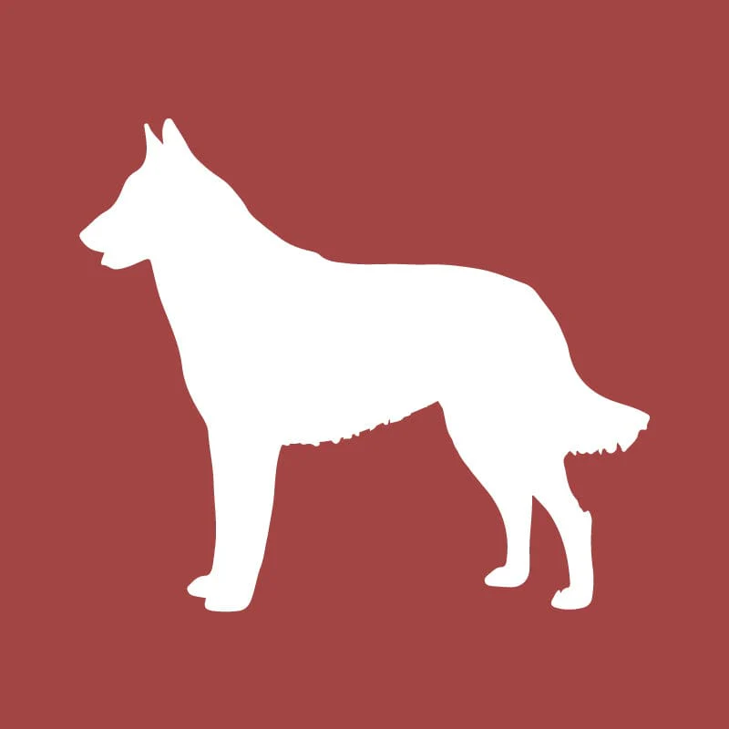 Belgian Malinois Embroidered AKC Quarter Zip - Image 11