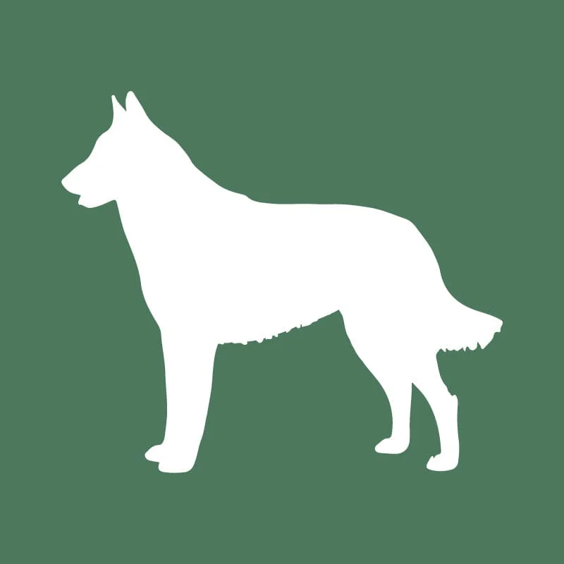 Belgian Malinois Embroidered AKC Quarter Zip - Image 14