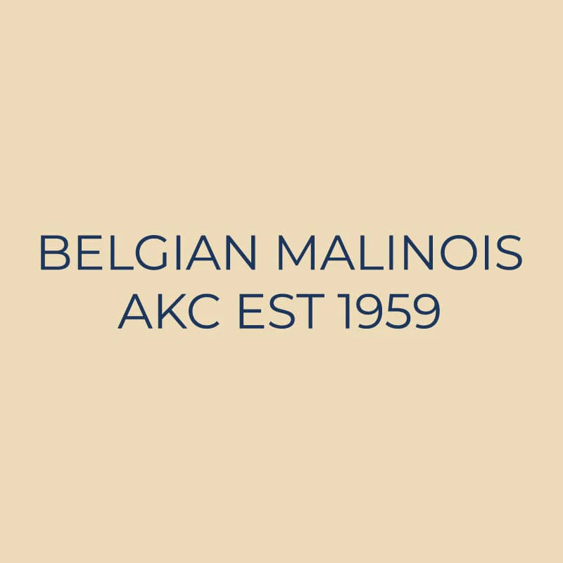 Belgian Malinois Embroidered AKC Quarter Zip - Image 18