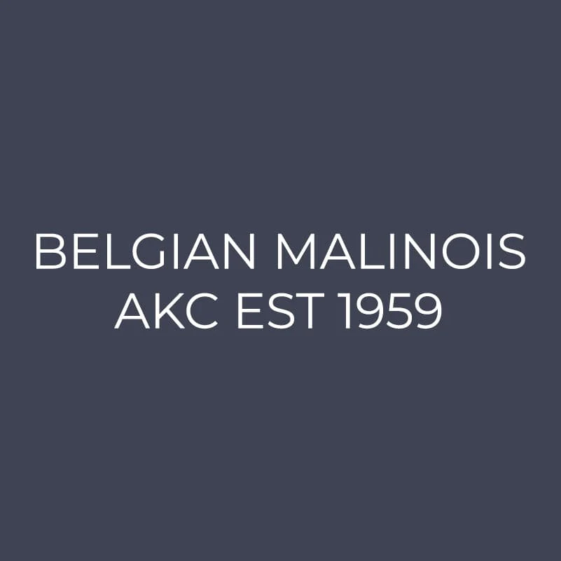Belgian Malinois Embroidered AKC Quarter Zip - Image 9