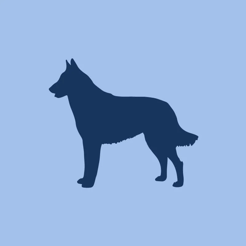 Belgian Malinois Children's Full Zip Sweatshirt - Image 2