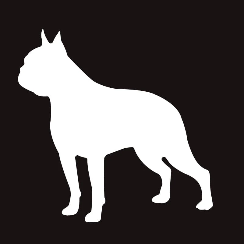 Boston Terrier AKC Embroidered Visor - Image 2