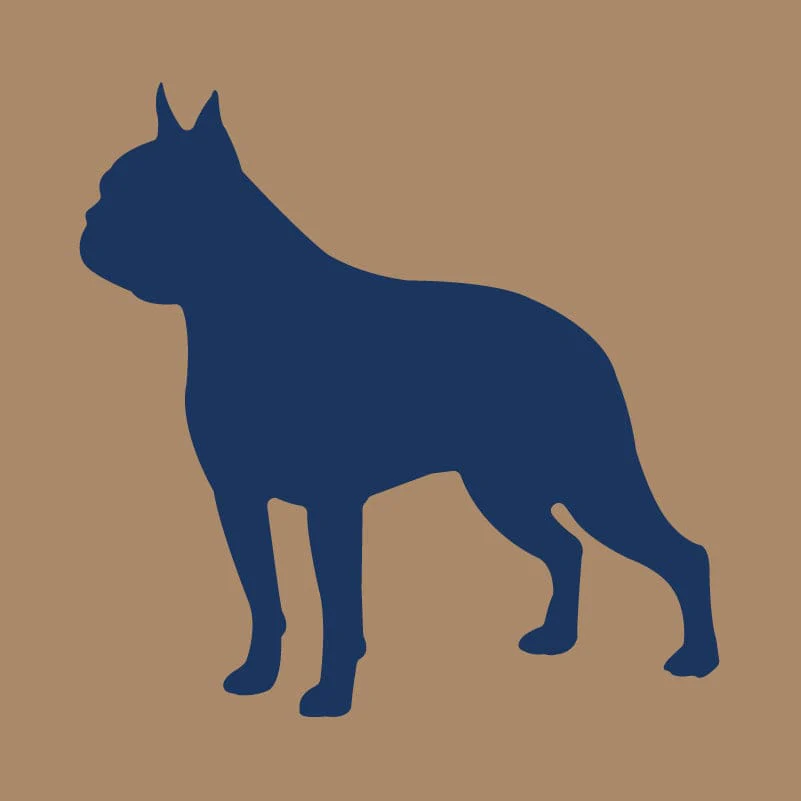 Boston Terrier AKC Embroidered Visor - Image 4