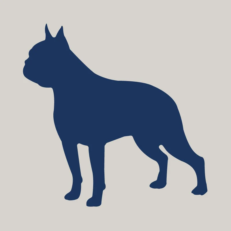 Boston Terrier AKC Embroidered Visor - Image 6