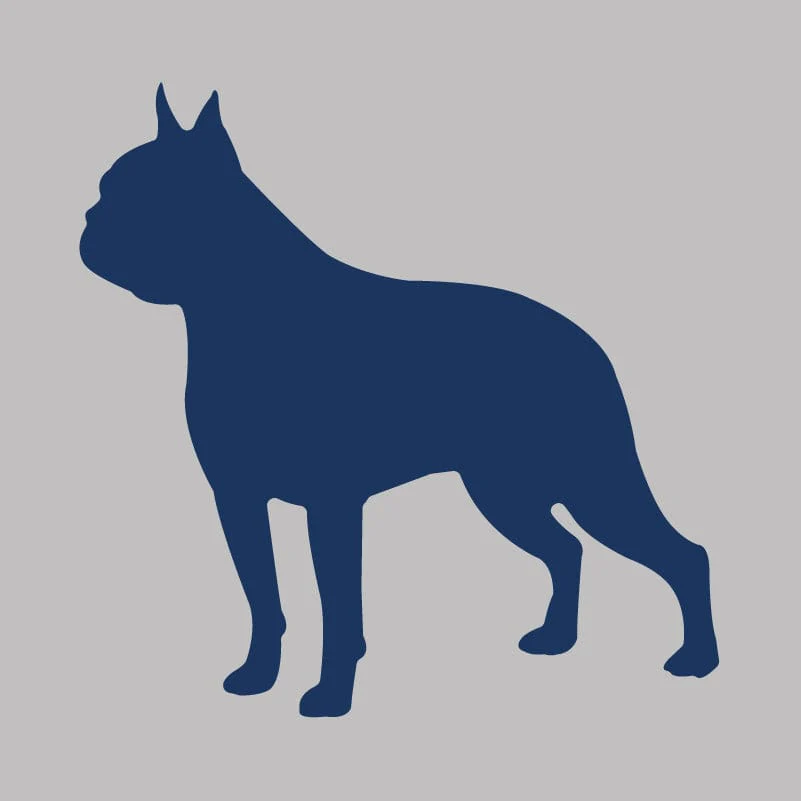Boston Terrier - Infant Onesie - Image 3