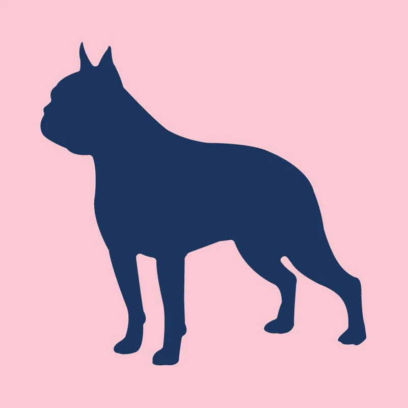 Boston Terrier - Infant Onesie - Image 7