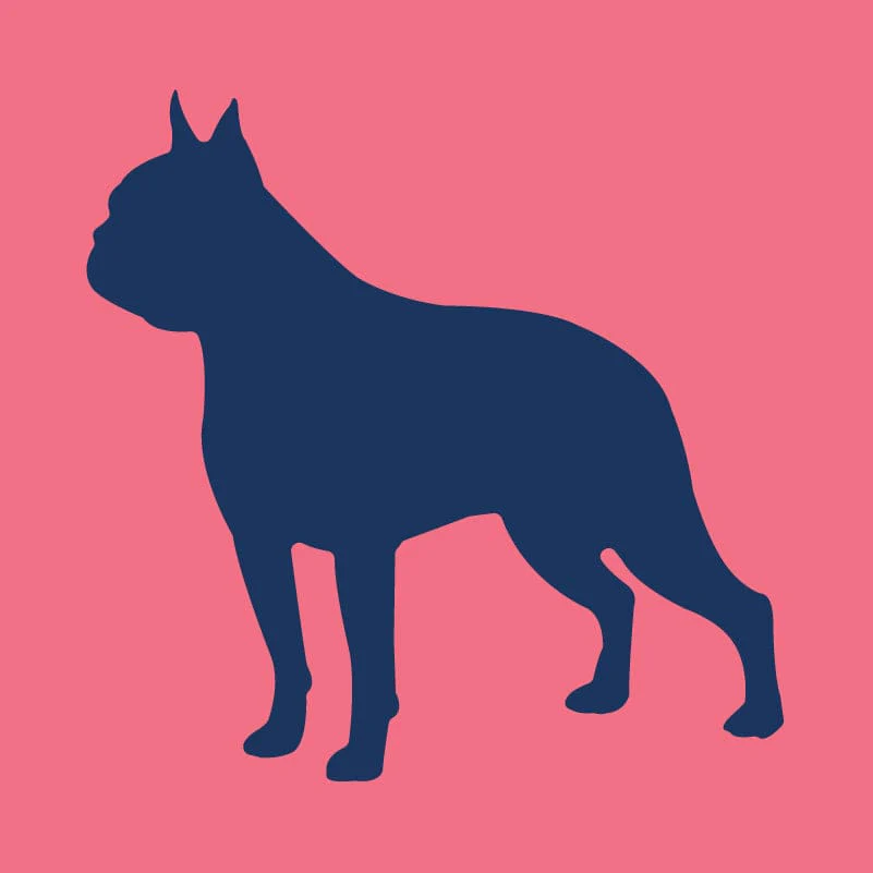 Boston Terrier - Youth Full Zip Sweatshirt - Image 5