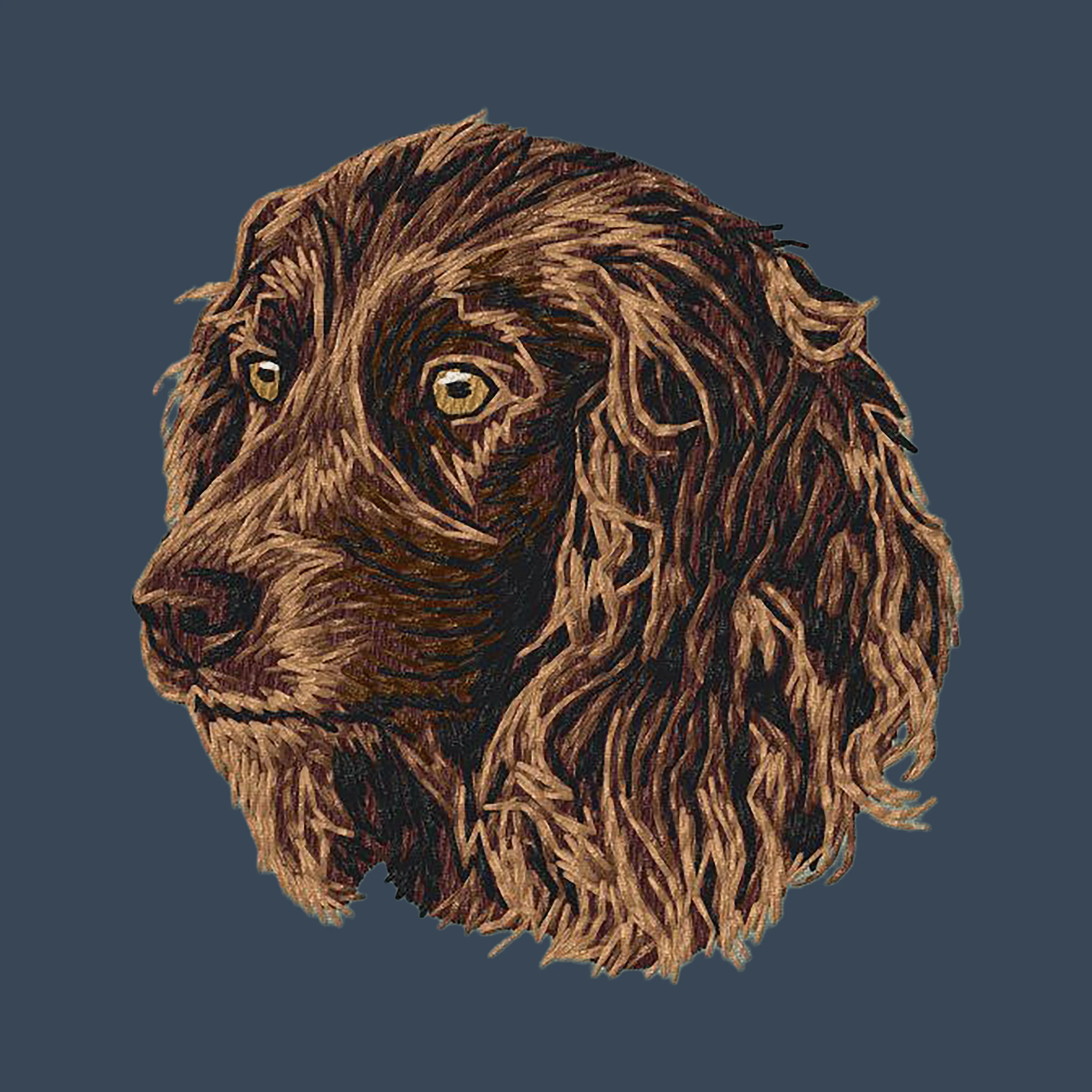 Boykin Spaniel Embroidered Women's Denim Shirt - Image 4