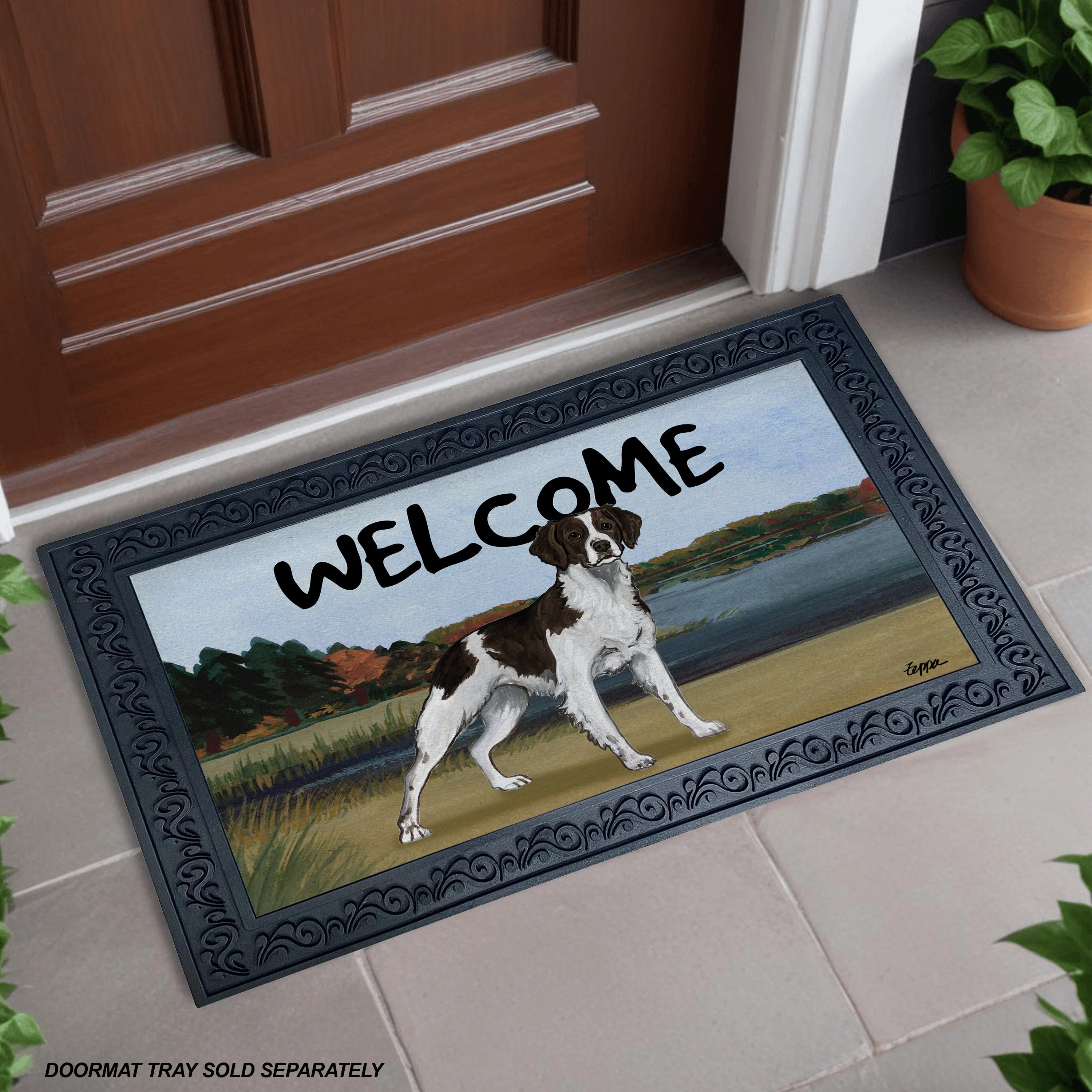 Brittany Welcome Mat - Image 7