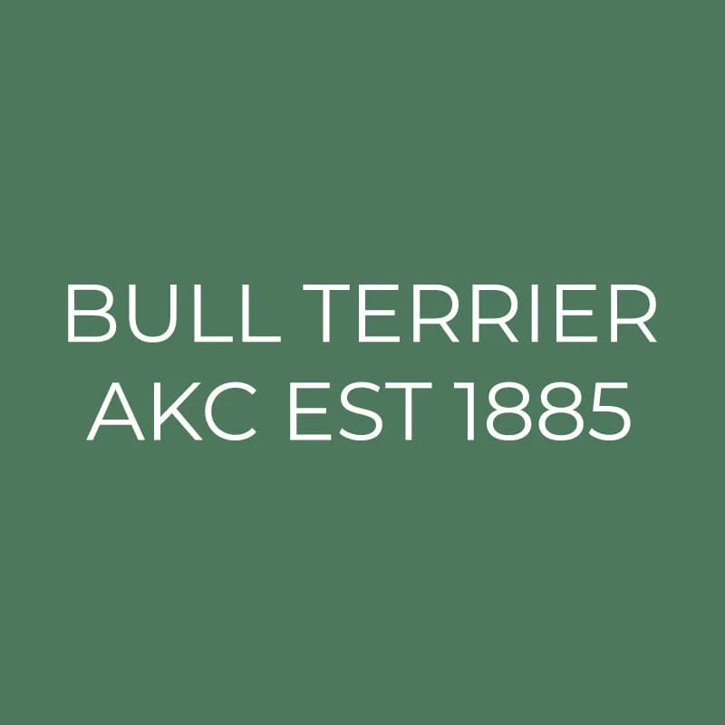 Bull Terrier Embroidered AKC Quarter Zip - Image 3