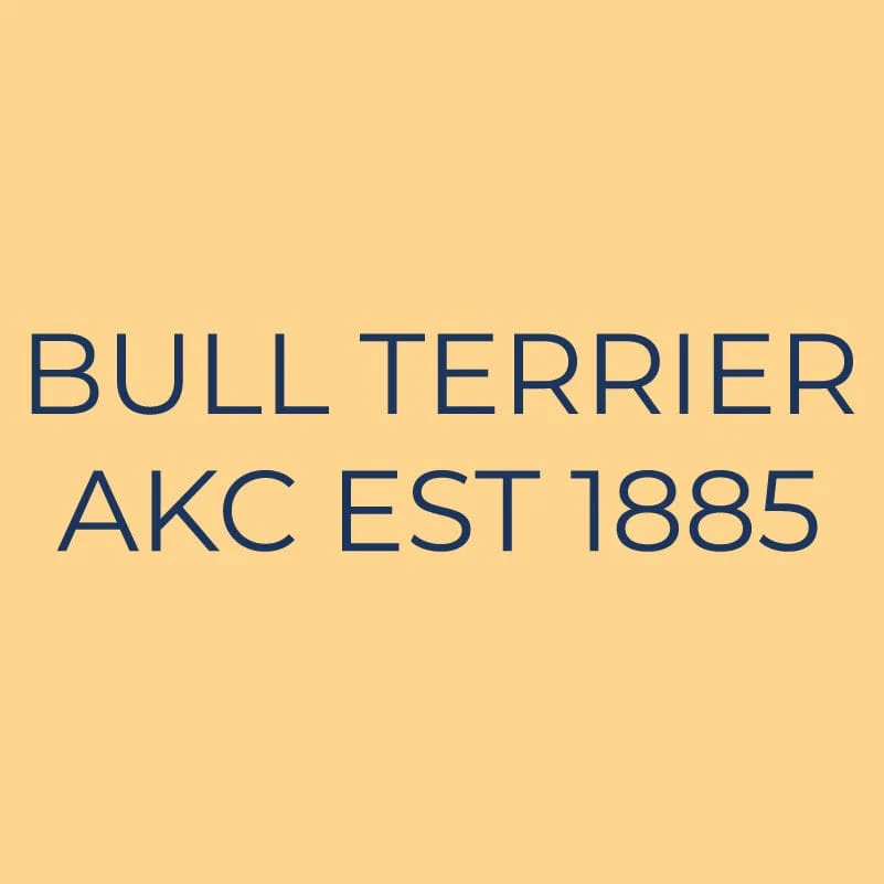 Bull Terrier Embroidered AKC Quarter Zip - Image 7