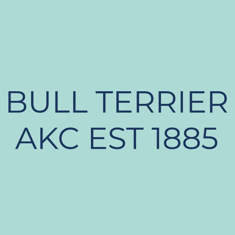 Bull Terrier Embroidered AKC Quarter Zip - Image 9