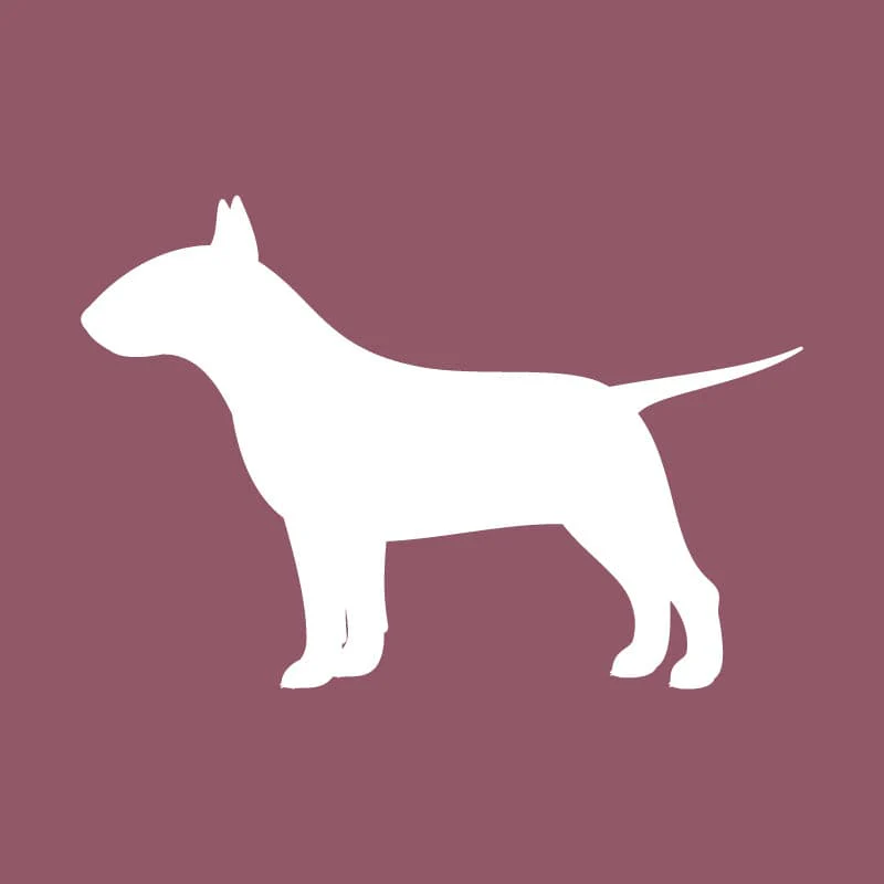 Bull Terrier - Beanie - Image 2