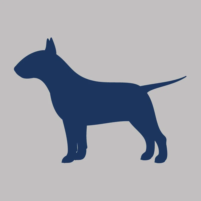 Bull Terrier - Infant Onesie - Image 4