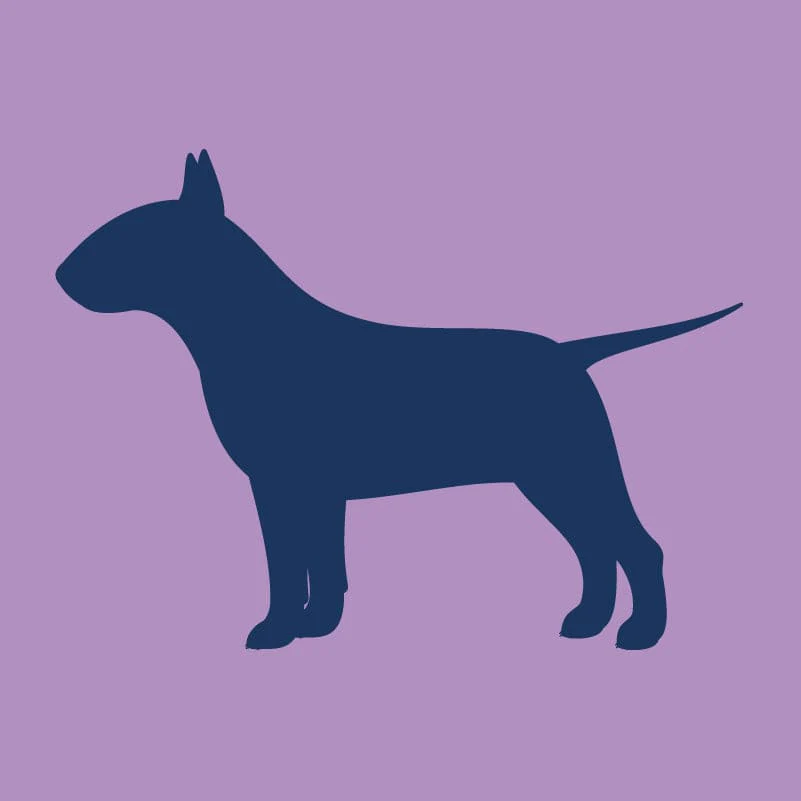 Bull Terrier - Infant Onesie - Image 6