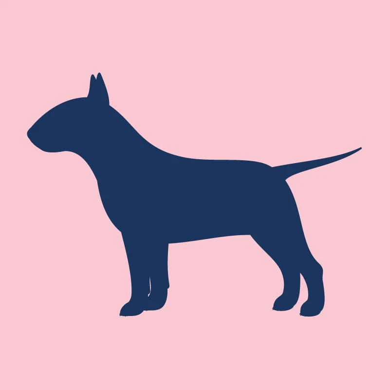 Bull Terrier - Infant Onesie - Image 7