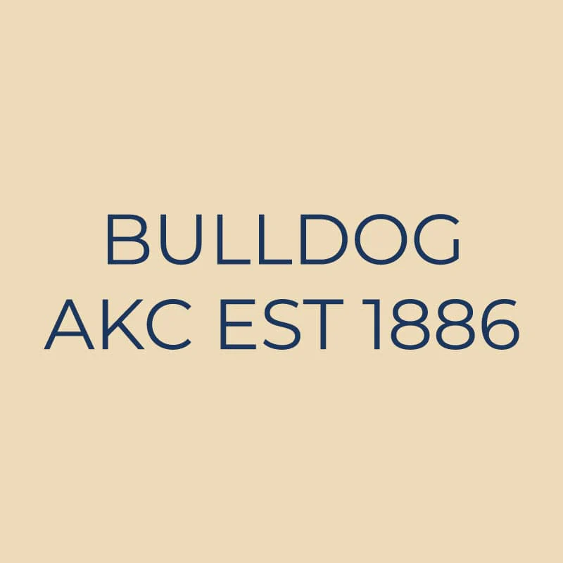 Bulldog Embroidered AKC Quarter Zip - Image 18