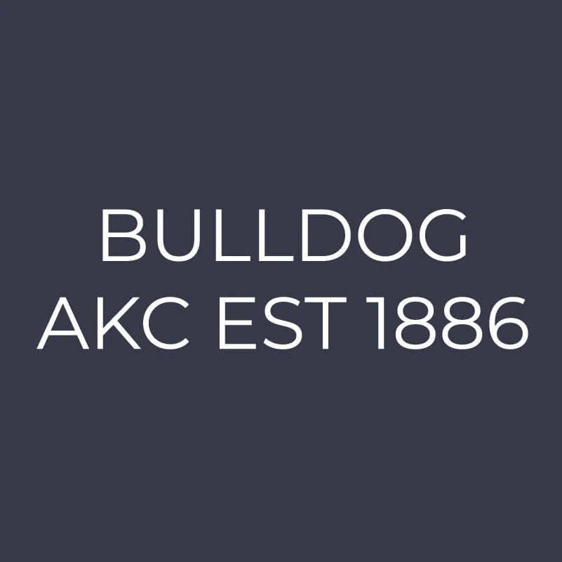 Bulldog Embroidered AKC Women's Polo - Image 6