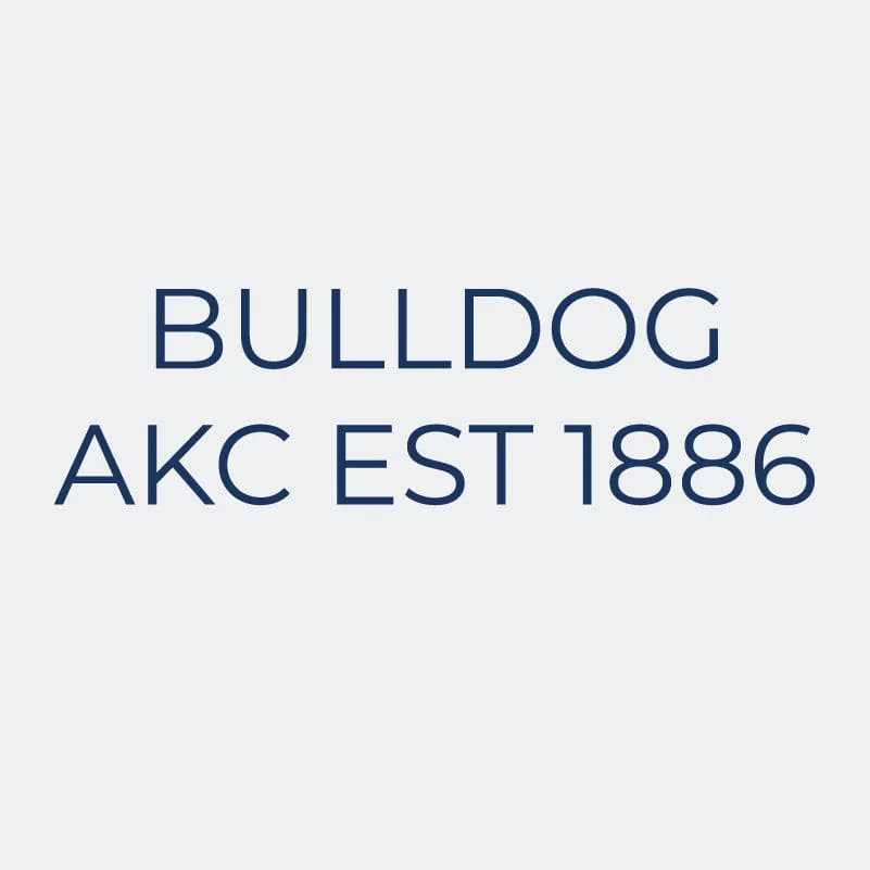Bulldog Embroidered AKC Women's Polo - Image 9