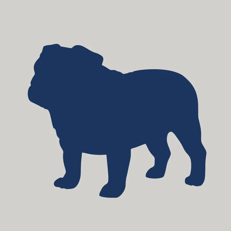 Bulldog AKC Embroidered Visor - Image 8