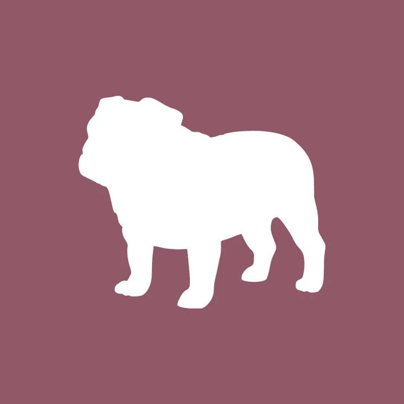 Bulldog- Beanie - Image 2