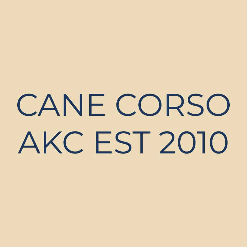 Cane Corso Embroidered AKC Quarter Zip - Image 15