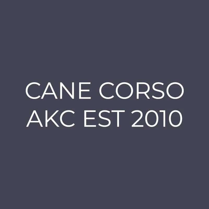 Cane Corso Embroidered AKC Quarter Zip - Image 3