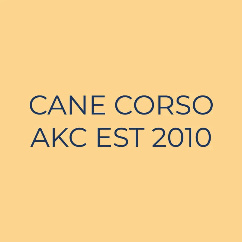 Cane Corso Embroidered AKC Quarter Zip - Image 9