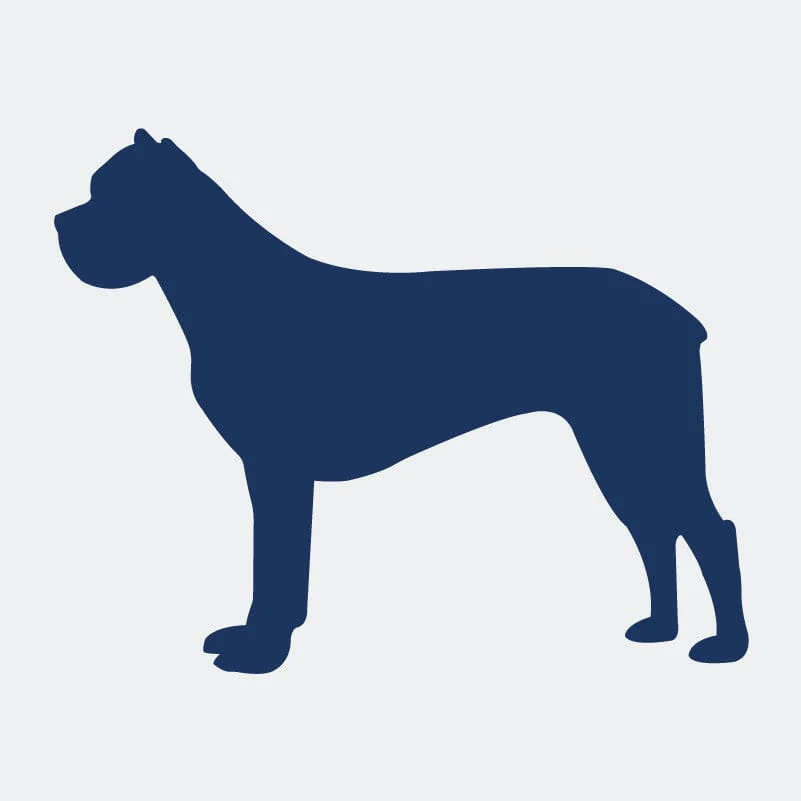 Cane Corso Embroidered AKC Women's Polo - Image 5