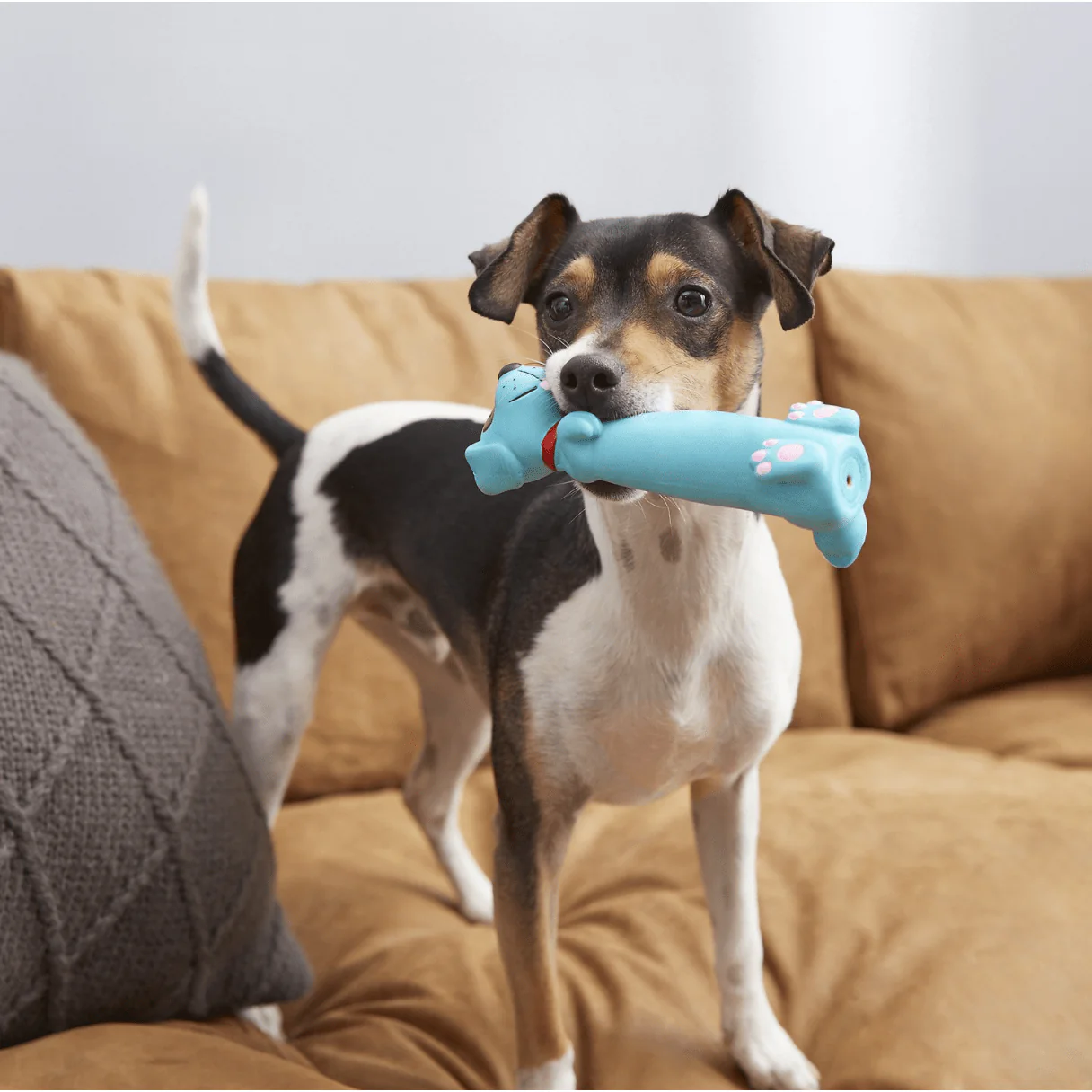 All Kind Latex Squeaky Puppy Toy - Image 6