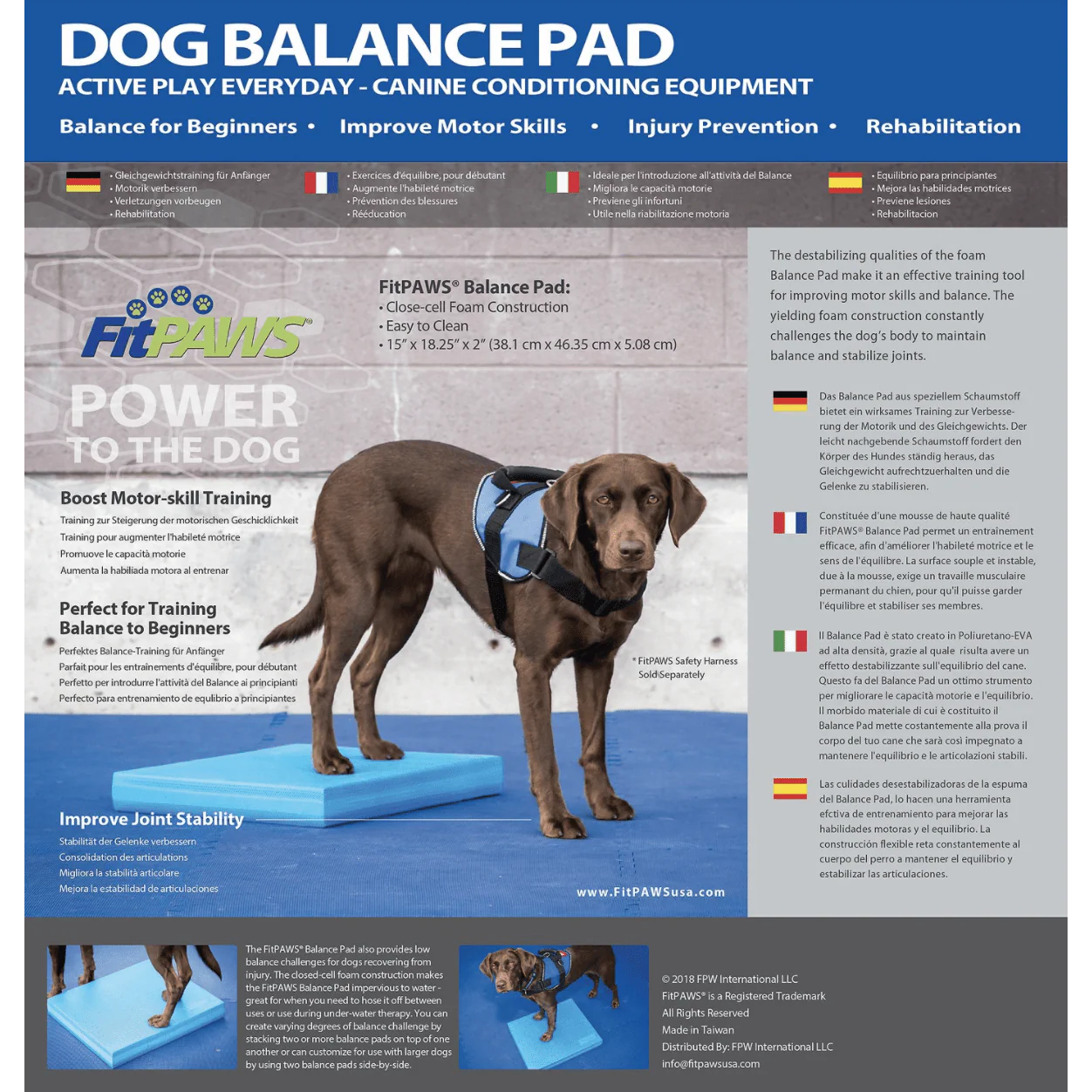 FitPAWS Dog Balance Pad, Blue - Image 2