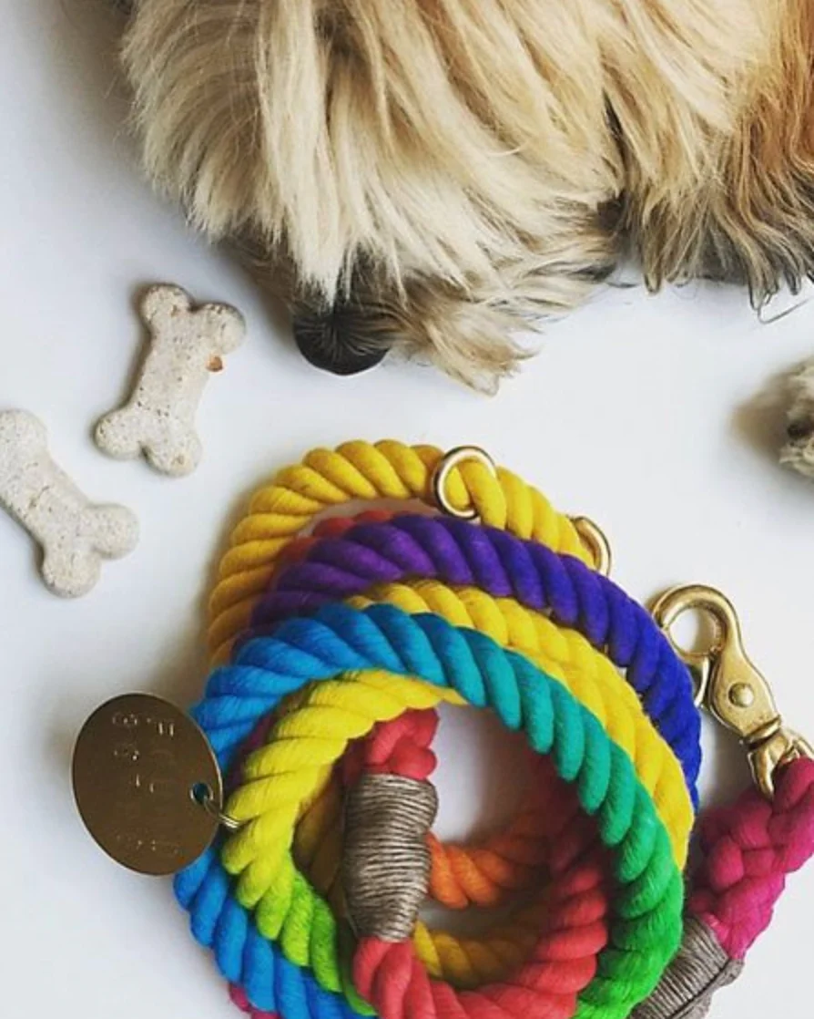 Found My Animal Adjustable Ombre Rope Dog Leash, 7-ft - Image 3