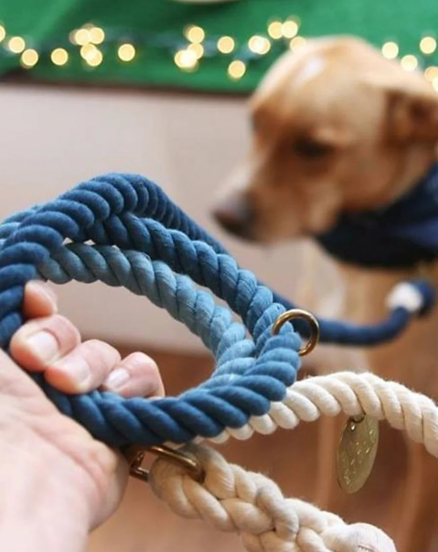 Found My Animal Adjustable Ombre Rope Dog Leash, 7-ft - Image 7