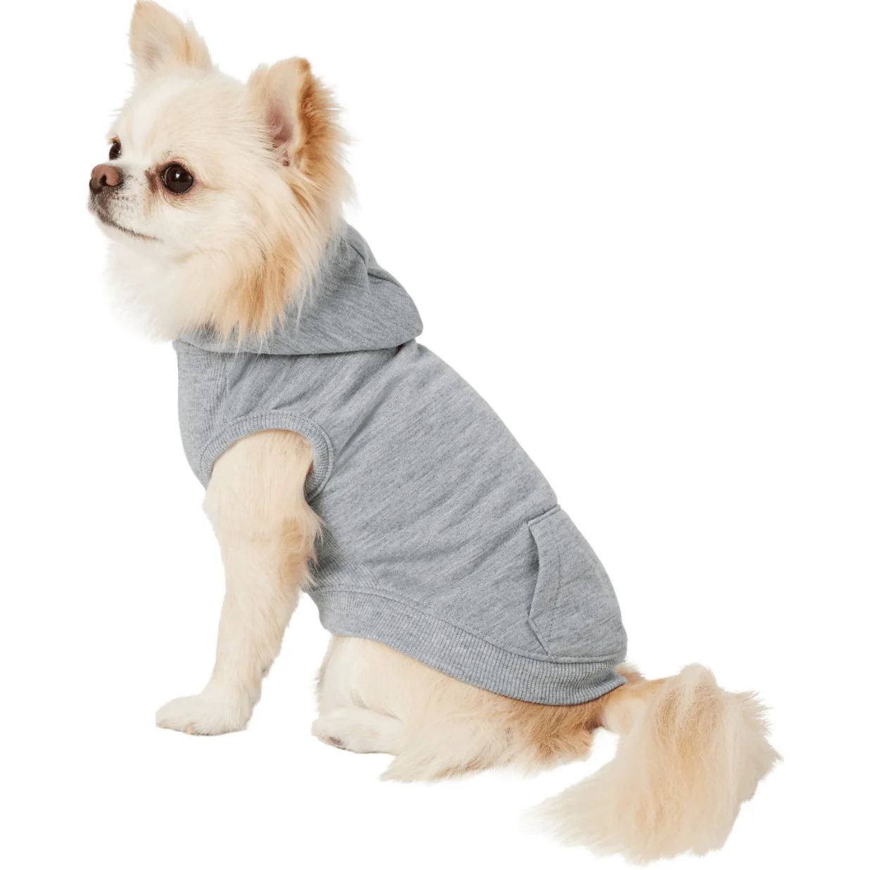 Frisco Dog Basic Hoodie