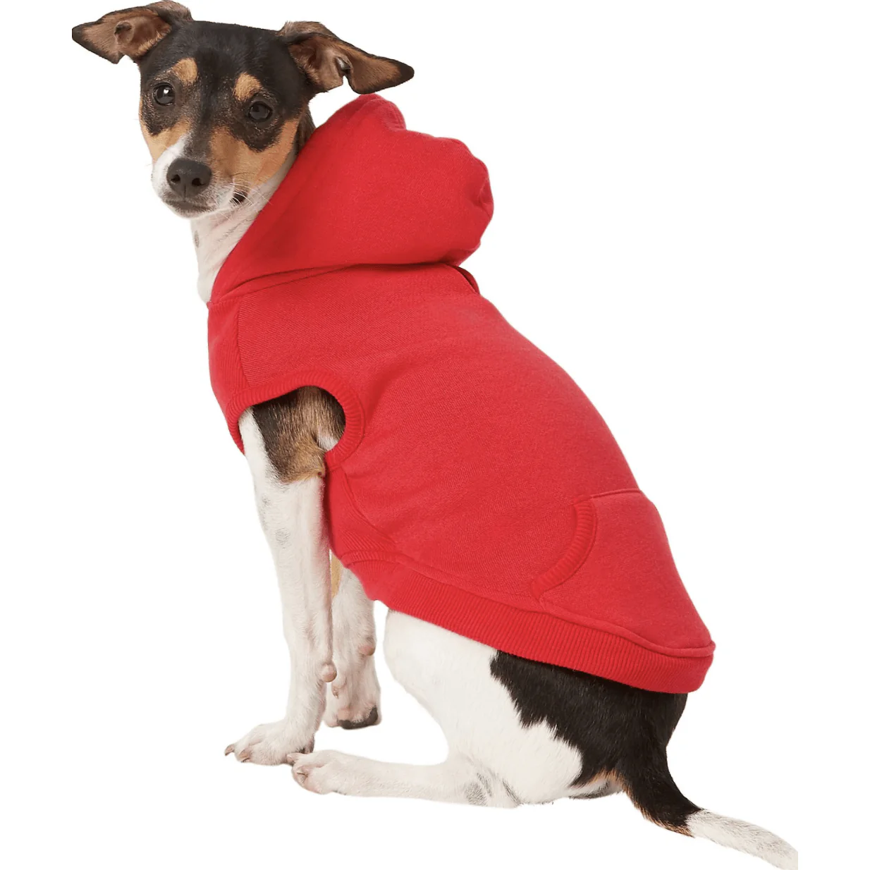 Frisco Dog Basic Hoodie - Image 5