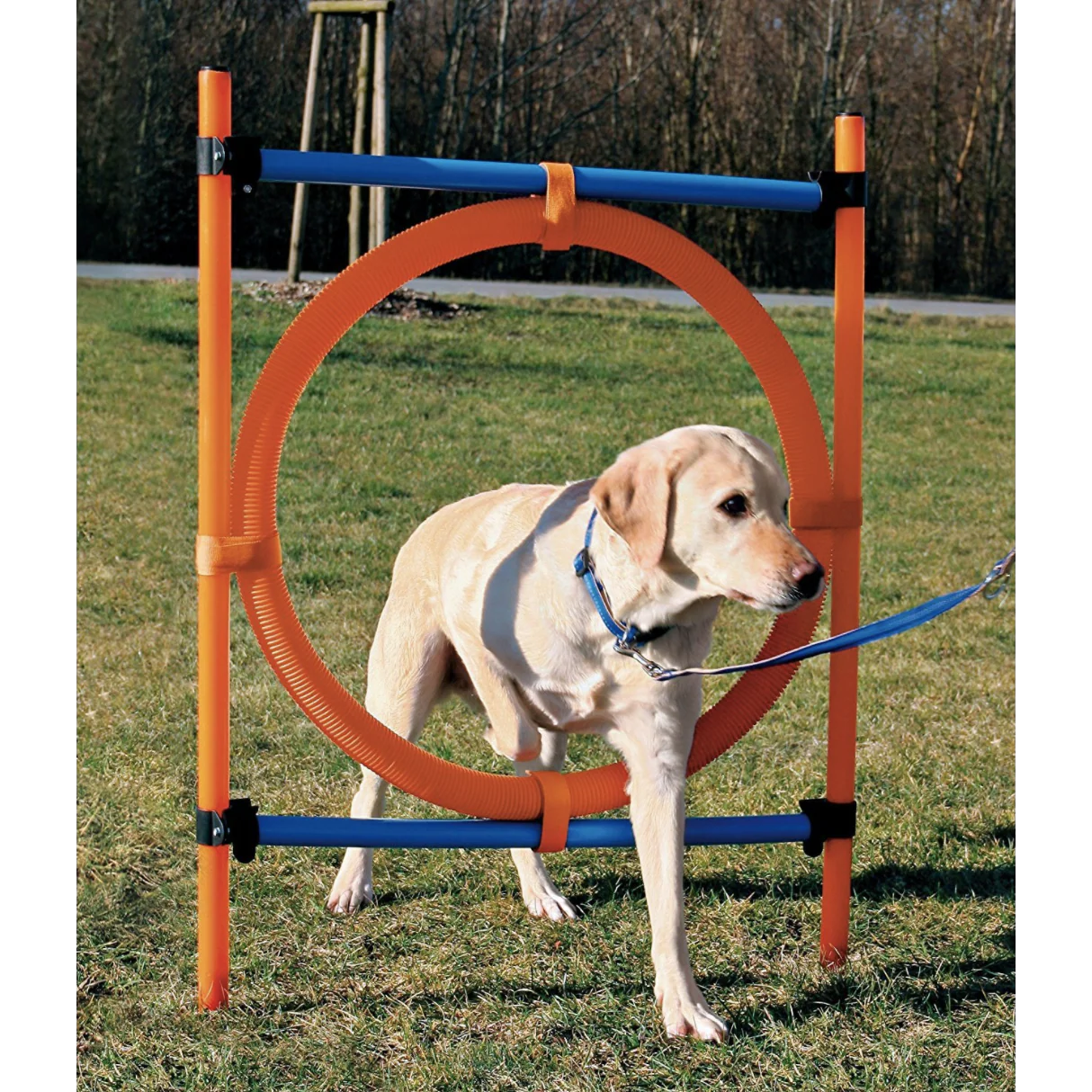 Trixie Agility Dog Training Ring - Image 5