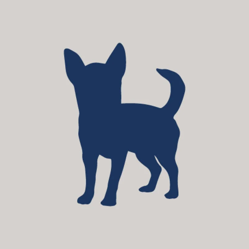 Chihuahua AKC Embroidered Visor - Image 8