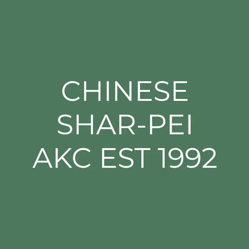 Chinese Shar-Pei Embroidered AKC Quarter Zip - Image 15