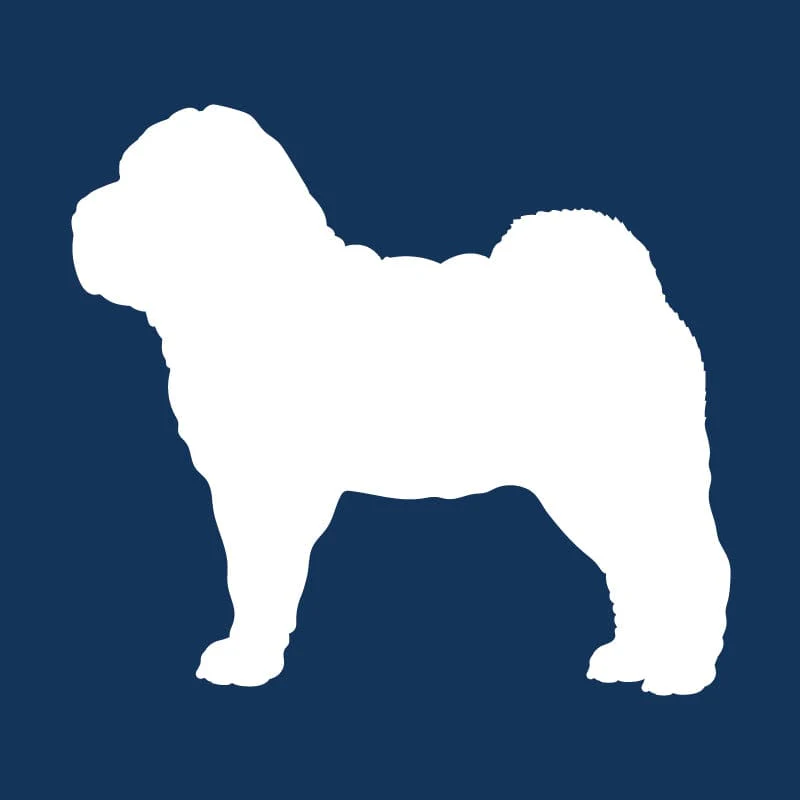 Chinese Shar-Pei AKC Embroidered Visor - Image 8