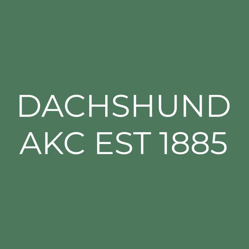 Dachshund Embroidered AKC Quarter Zip - Image 15
