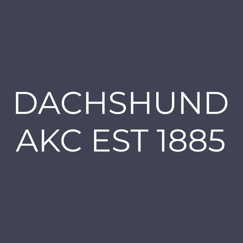 Dachshund Embroidered AKC Quarter Zip - Image 3